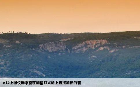 ef2上图仪器中能在酒精灯火焰上直接加热的有