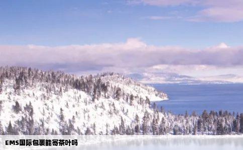 EMS国际包裹能寄茶叶吗