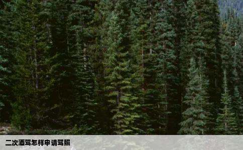 二次酒驾怎样申请驾照