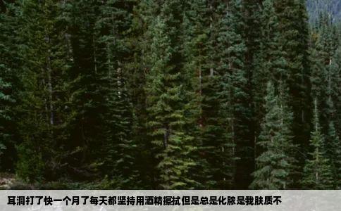 耳洞打了快一个月了每天都坚持用酒精擦拭但是总是化脓是我肤质不