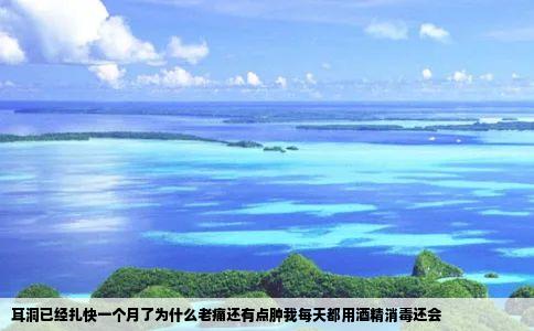 耳洞已经扎快一个月了为什么老痛还有点肿我每天都用酒精消毒还会