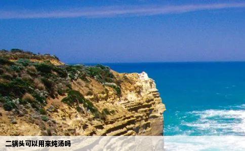 二锅头可以用来炖汤吗