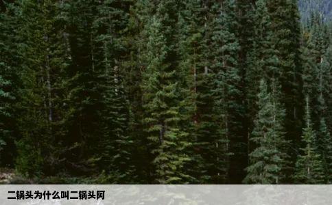 二锅头为什么叫二锅头阿
