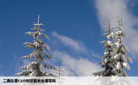 二两白酒12小时还能吹出酒驾吗