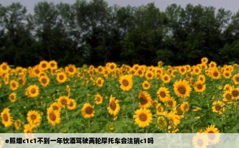e照增c1c1不到一年饮酒驾驶两轮摩托车会注销c1吗