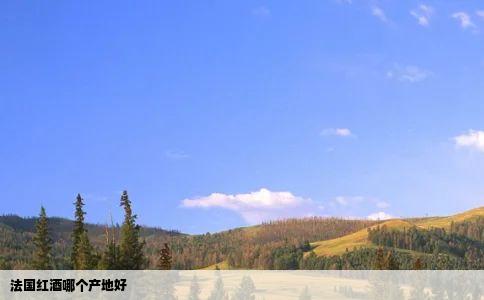 法国红酒哪个产地好