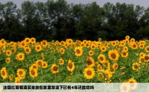 法国红葡萄酒买来放在家里常温下已有4年还能吃吗