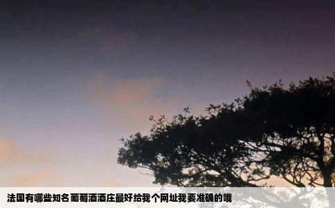 法国有哪些知名葡萄酒酒庄最好给我个网址我要准确的哦
