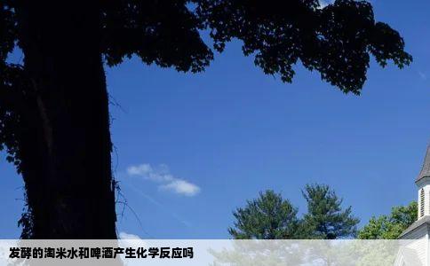 发酵的淘米水和啤酒产生化学反应吗