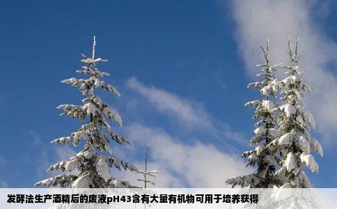 发酵法生产酒精后的废液pH43含有大量有机物可用于培养获得