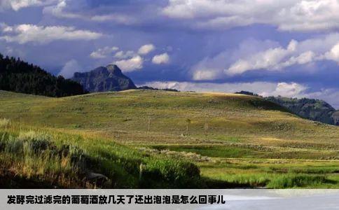 发酵完过滤完的葡萄酒放几天了还出泡泡是怎么回事儿