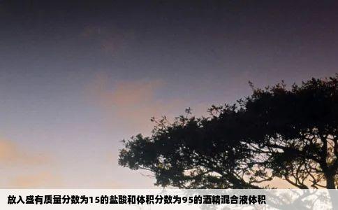 放入盛有质量分数为15的盐酸和体积分数为95的酒精混合液体积