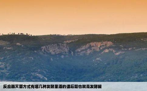 反应器灭菌方式有哪几种发酵果酒的课后题也就是发酵罐