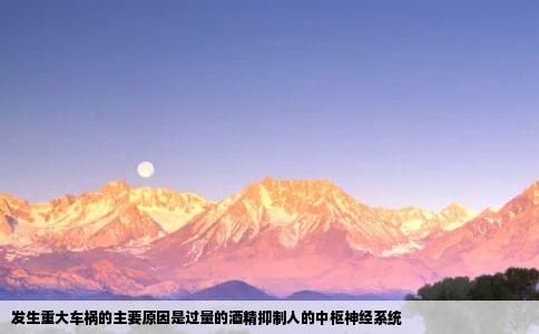 发生重大车祸的主要原因是过量的酒精抑制人的中枢神经系统