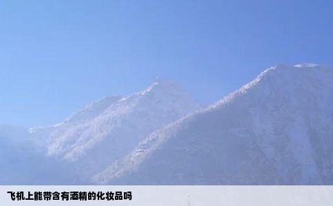 飞机上能带含有酒精的化妆品吗