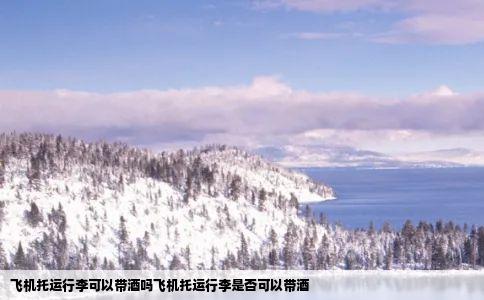 飞机托运行李可以带酒吗飞机托运行李是否可以带酒