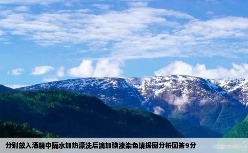 分别放入酒精中隔水加热漂洗后滴加碘液染色请据图分析回答9分