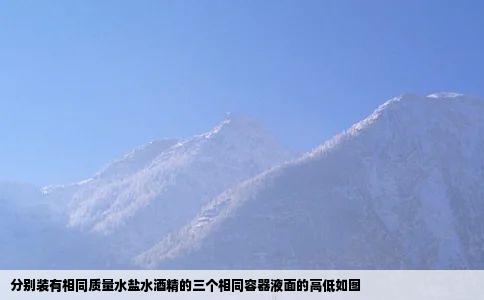 分别装有相同质量水盐水酒精的三个相同容器液面的高低如图