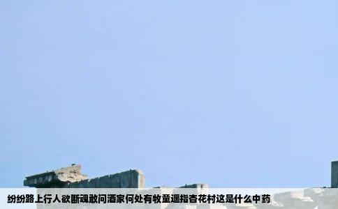 纷纷路上行人欲断魂敢问酒家何处有牧童遥指杏花村这是什么中药