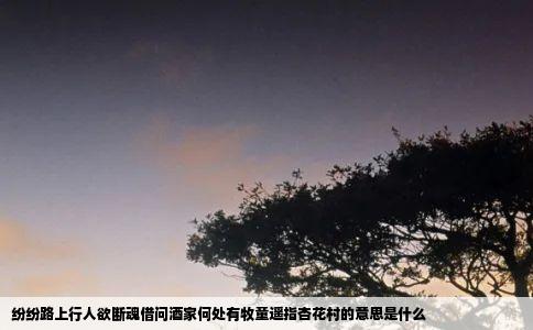纷纷路上行人欲断魂借问酒家何处有牧童遥指杏花村的意思是什么