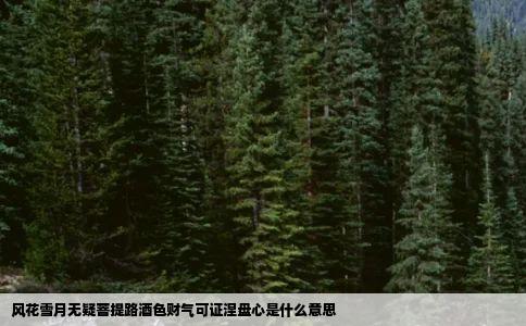 风花雪月无疑菩提路酒色财气可证涅盘心是什么意思