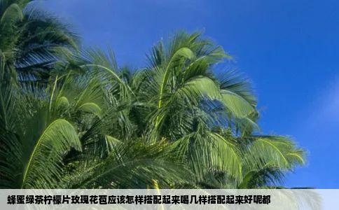 蜂蜜绿茶柠檬片玫瑰花苞应该怎样搭配起来喝几样搭配起来好呢都