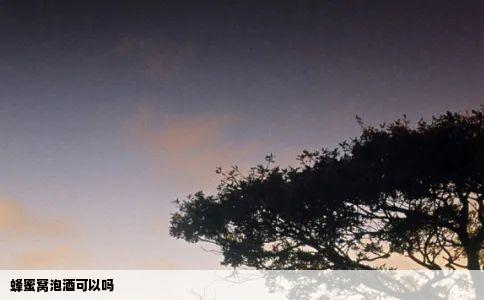 蜂蜜窝泡酒可以吗