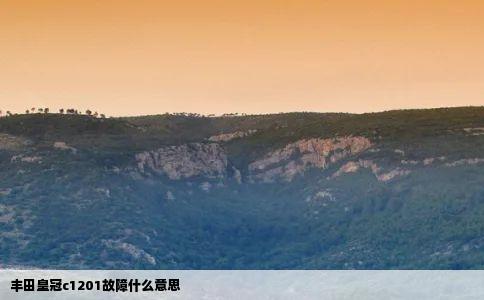 丰田皇冠c1201故障什么意思