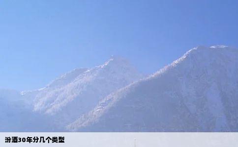 汾酒30年分几个类型