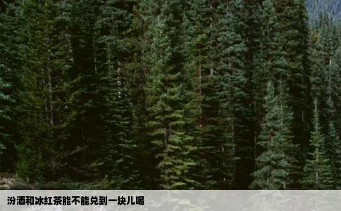 汾酒和冰红茶能不能兑到一块儿喝