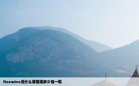 finewine是什么葡萄酒多少钱一瓶