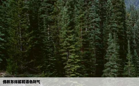 佛教怎样解释酒色财气