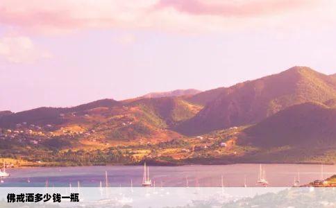 佛戒酒多少钱一瓶