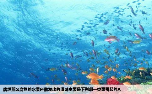 腐烂那么腐烂的水果所散发出的酒味主要是下列哪一类菌引起的A