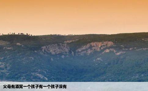 父母有酒窝一个孩子有一个孩子没有