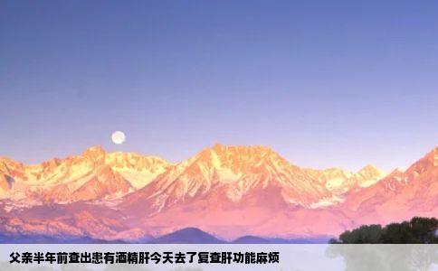 父亲半年前查出患有酒精肝今天去了复查肝功能麻烦