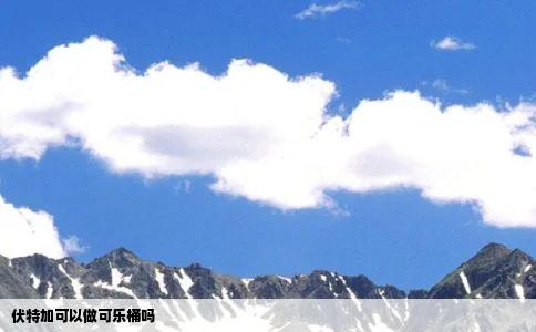 伏特加可以做可乐桶吗