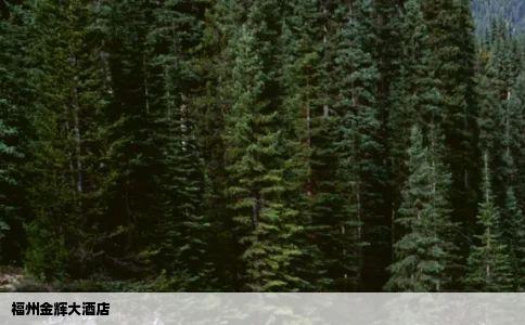 福州金辉大酒店