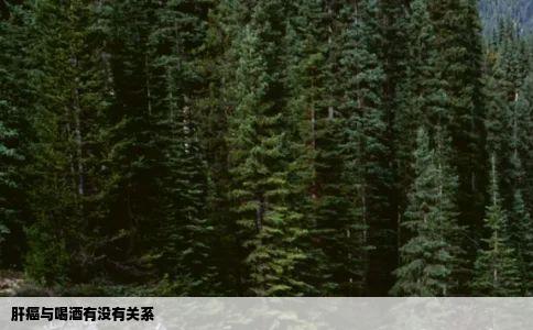 肝癌与喝酒有没有关系