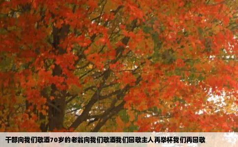 干部向我们敬酒70岁的老翁向我们敬酒我们回敬主人再举杯我们再回敬