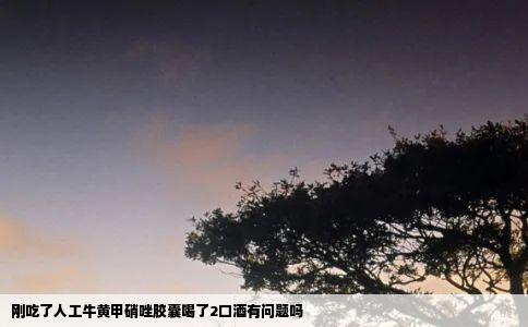 刚吃了人工牛黄甲硝唑胶囊喝了2口酒有问题吗
