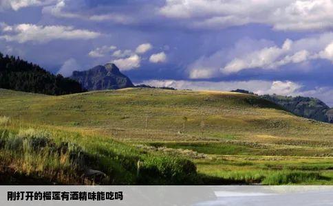 刚打开的榴莲有酒精味能吃吗