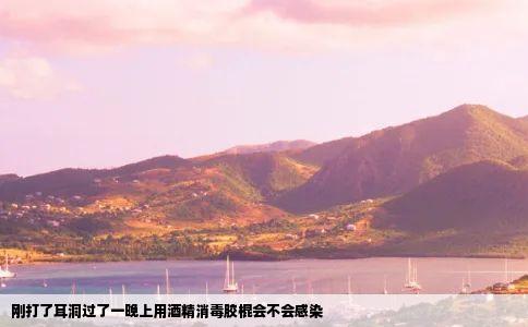 刚打了耳洞过了一晚上用酒精消毒胶棍会不会感染