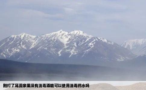 刚打了耳洞家里没有消毒酒精可以使用消毒药水吗