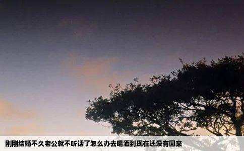 刚刚结婚不久老公就不听话了怎么办去喝酒到现在还没有回来