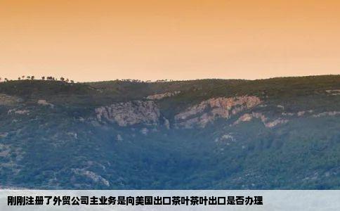 刚刚注册了外贸公司主业务是向美国出口茶叶茶叶出口是否办理