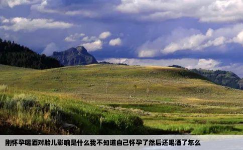 刚怀孕喝酒对胎儿影响是什么我不知道自己怀孕了然后还喝酒了怎么