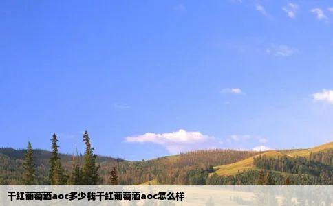 干红葡萄酒aoc多少钱干红葡萄酒aoc怎么样
