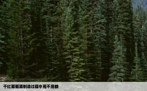 干红葡萄酒制造过程中用不用糖