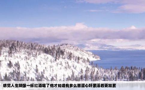 感觉人生就像一杯红酒喝了他才知道有多么苦涩心好累活着更加累
